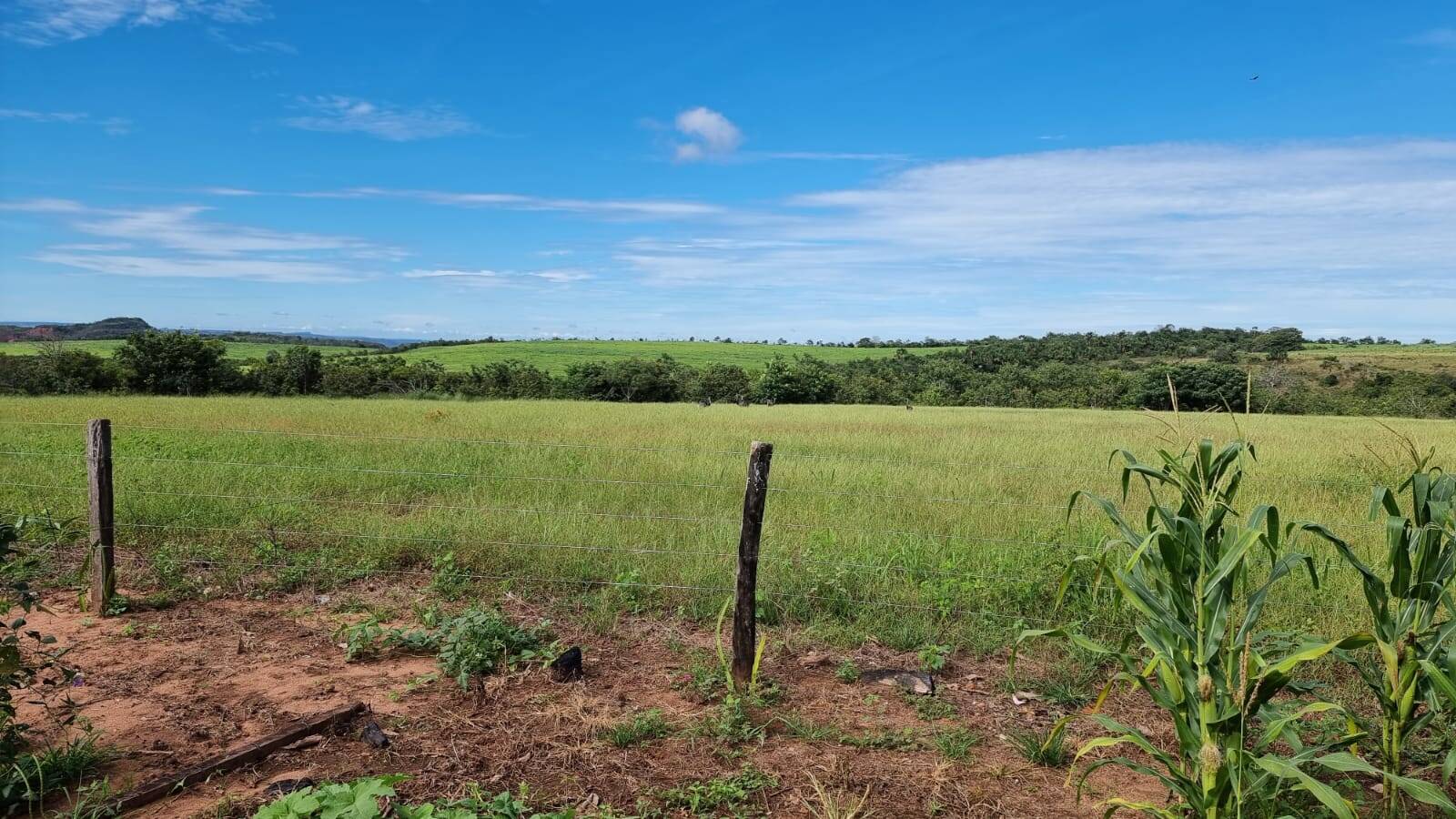 Fazenda formada entre Primavera do Leste e Poxoreu 2.400 ha