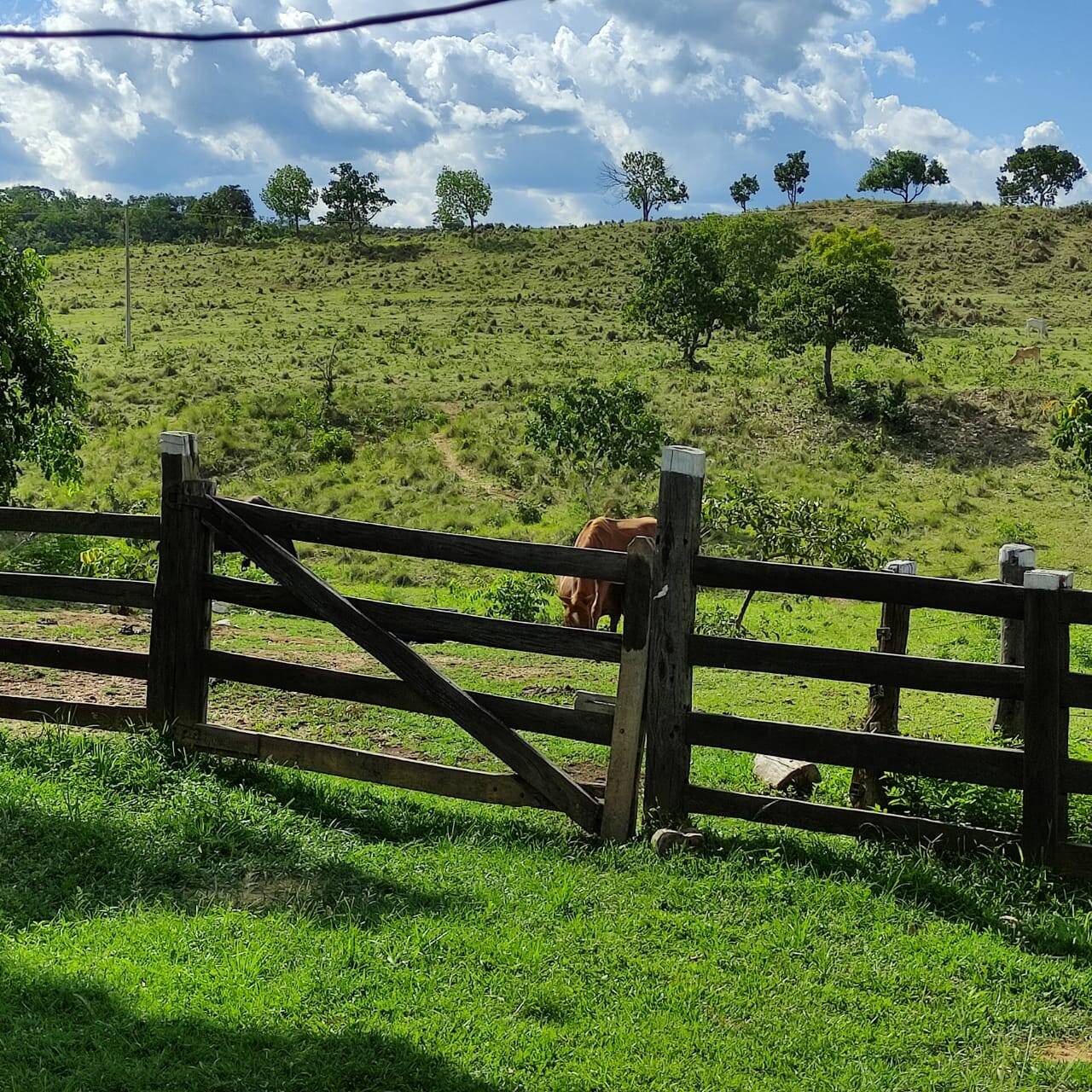 Vende-se Fazenda com 134 hec na BR 070 Poconé