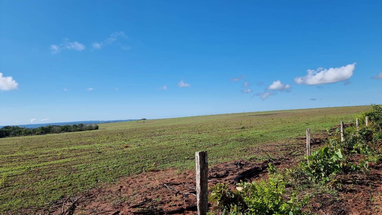 Fazenda formada entre Primavera do Leste e Poxoreu 2.400 ha