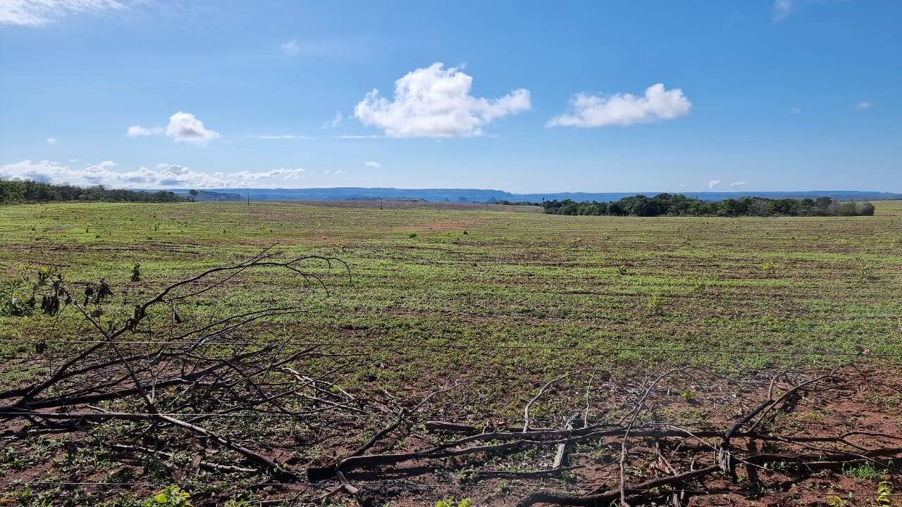 Fazenda formada entre Primavera do Leste e Poxoreu 2.400 ha