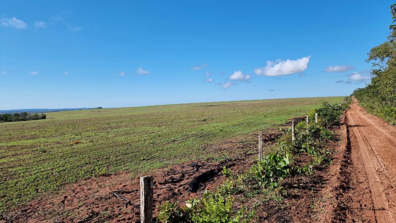 Fazenda formada entre Primavera do Leste e Poxoreu 2.400 ha