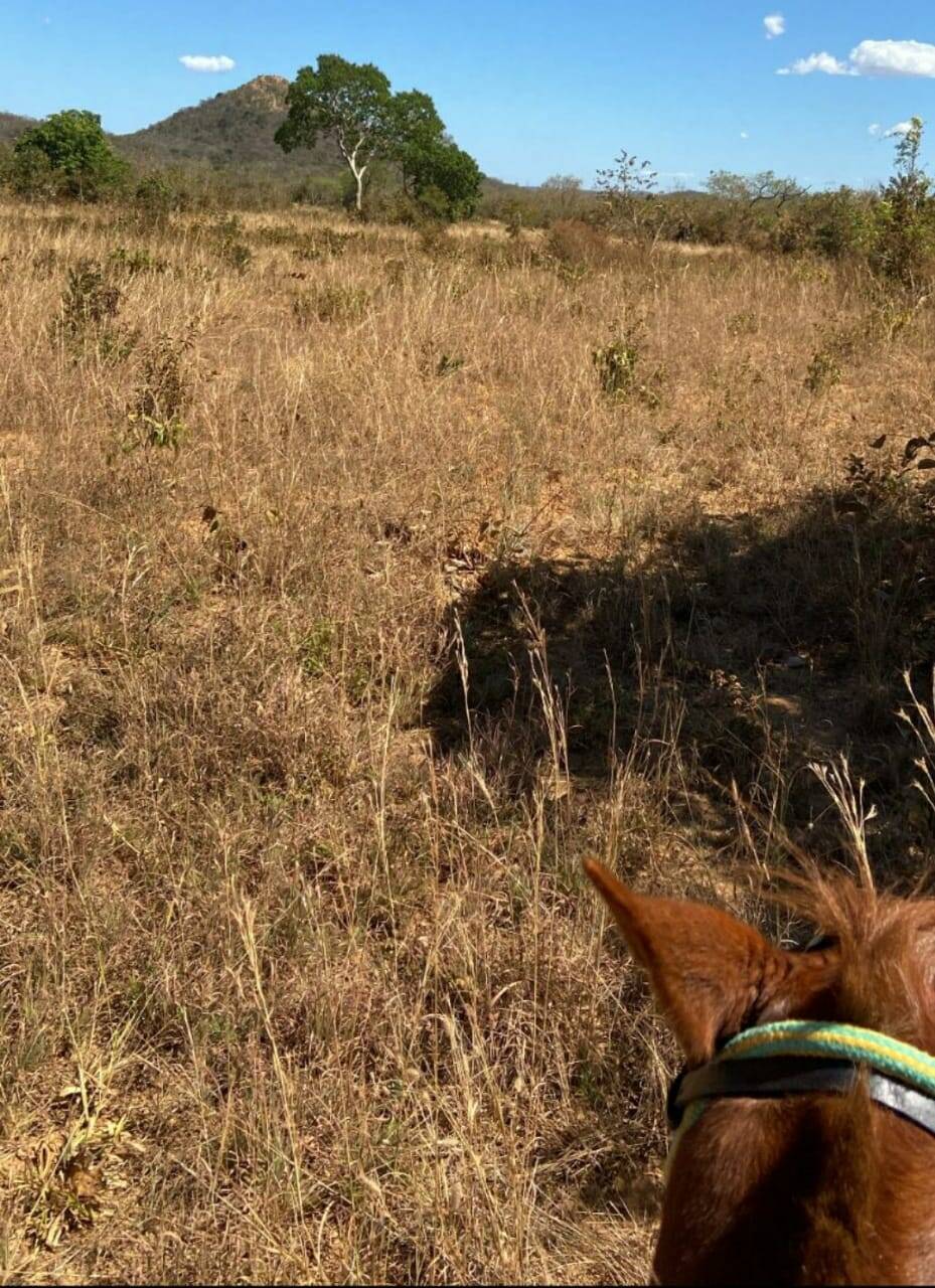 Fazenda Tocantins
