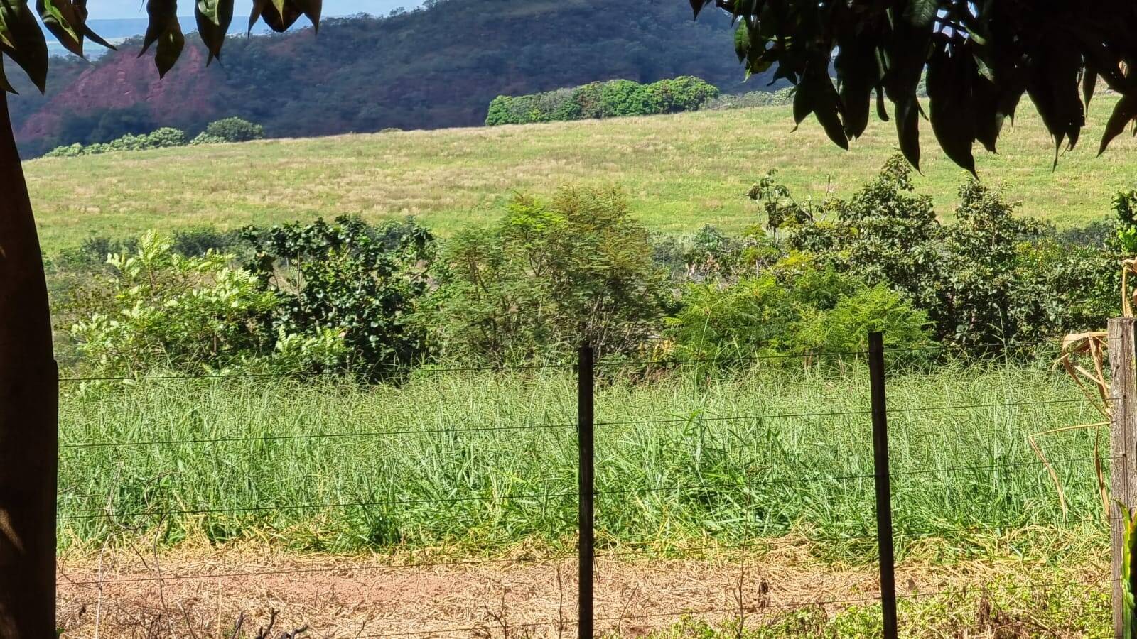 Fazenda formada entre Primavera do Leste e Poxoreu 2.400 ha