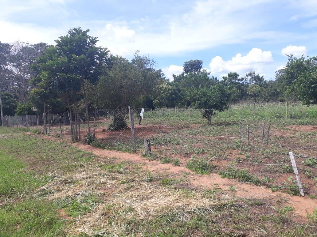Fazenda em Primavera do Leste/Mato Grosso — Ref AF7AMU — Imagem 12