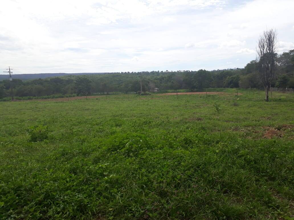 Fazenda em Primavera do Leste/Mato Grosso — Ref AF7AMU — Imagem 10