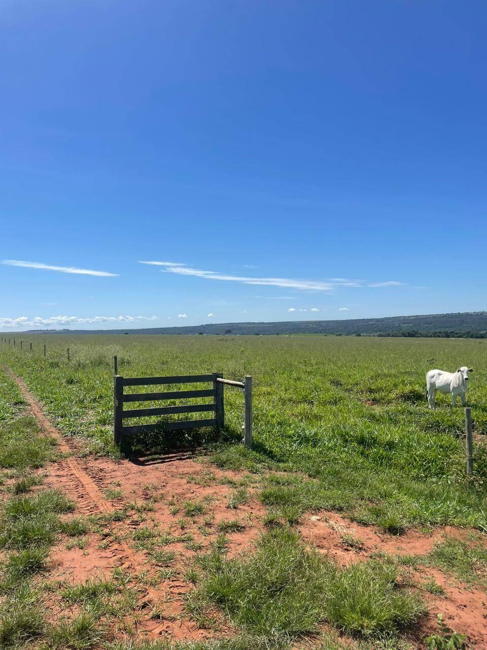 Fazenda em Rondonópolis Mato Grosso
