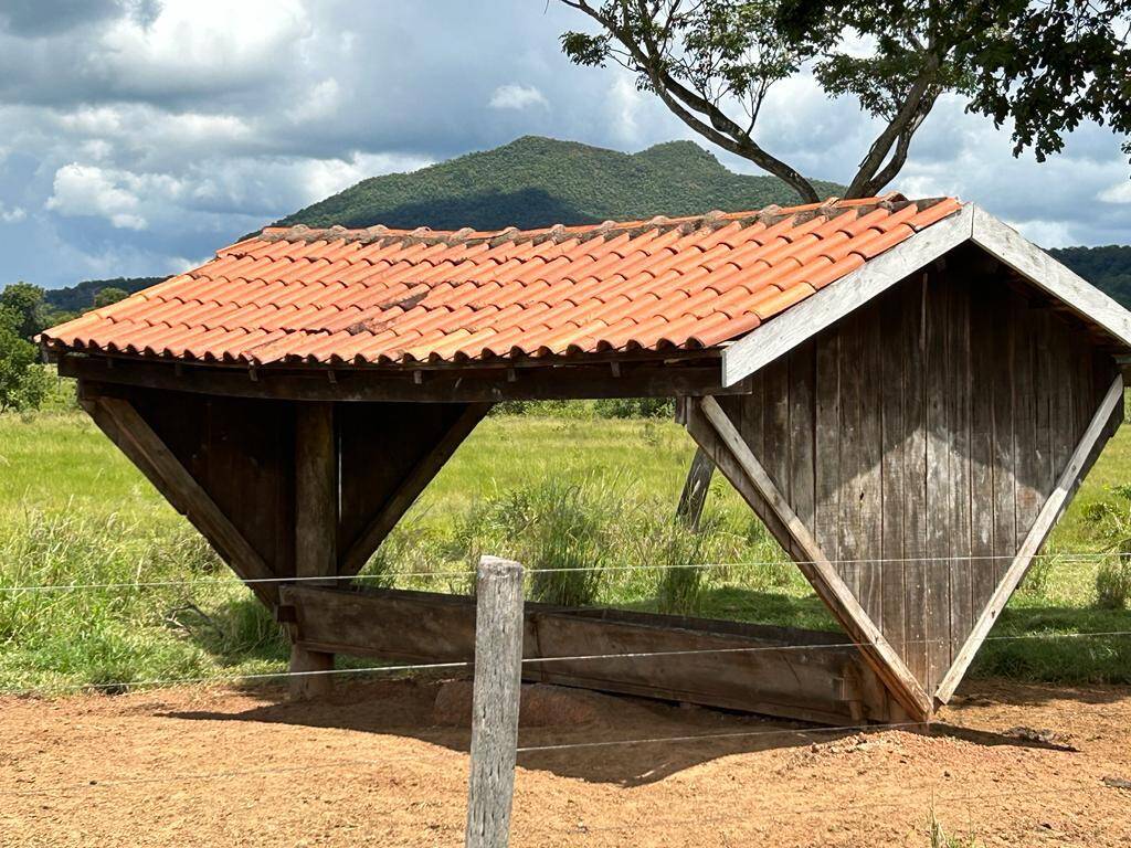 Chãozão - O Maior Portal de Anúncios de Imóveis Rurais do Brasil.