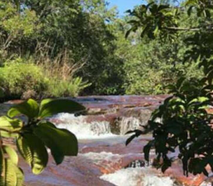 Chãozão - O Maior Portal de Anúncios de Imóveis Rurais do Brasil.