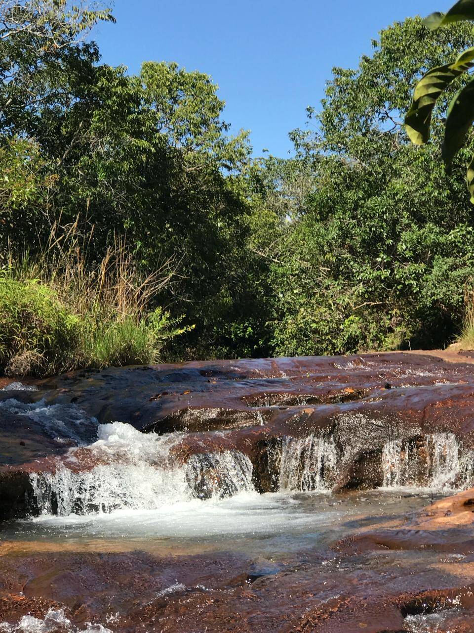 Chãozão - O Maior Portal de Anúncios de Imóveis Rurais do Brasil.
