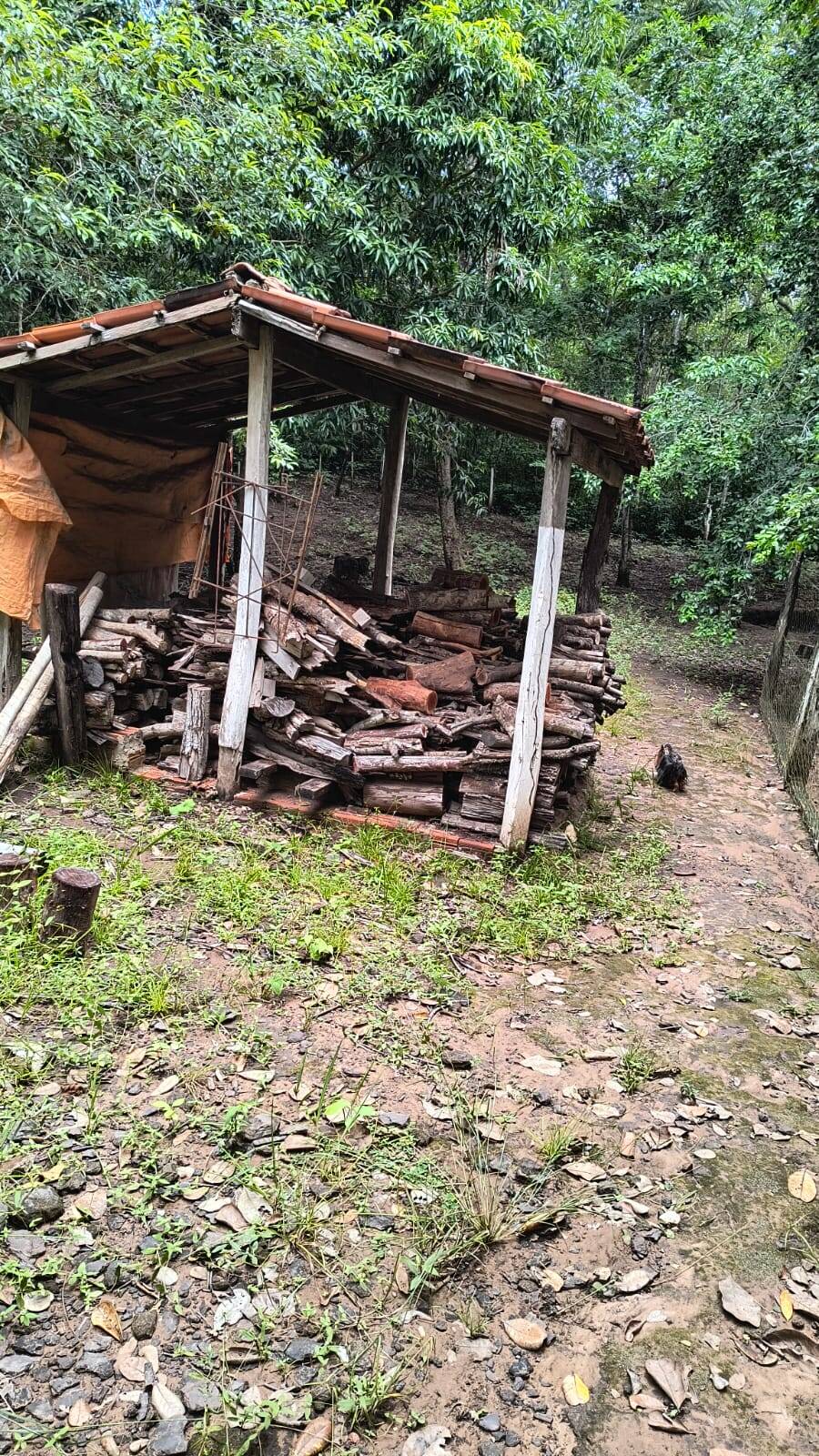 Chãozão - O Maior Portal de Anúncios de Imóveis Rurais do Brasil.