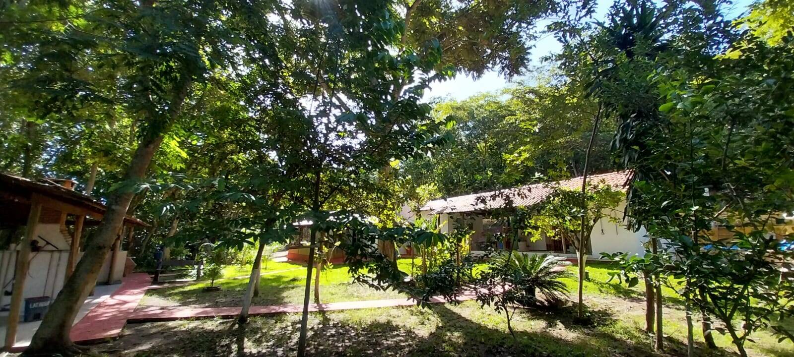Chãozão - O Maior Portal de Anúncios de Imóveis Rurais do Brasil.