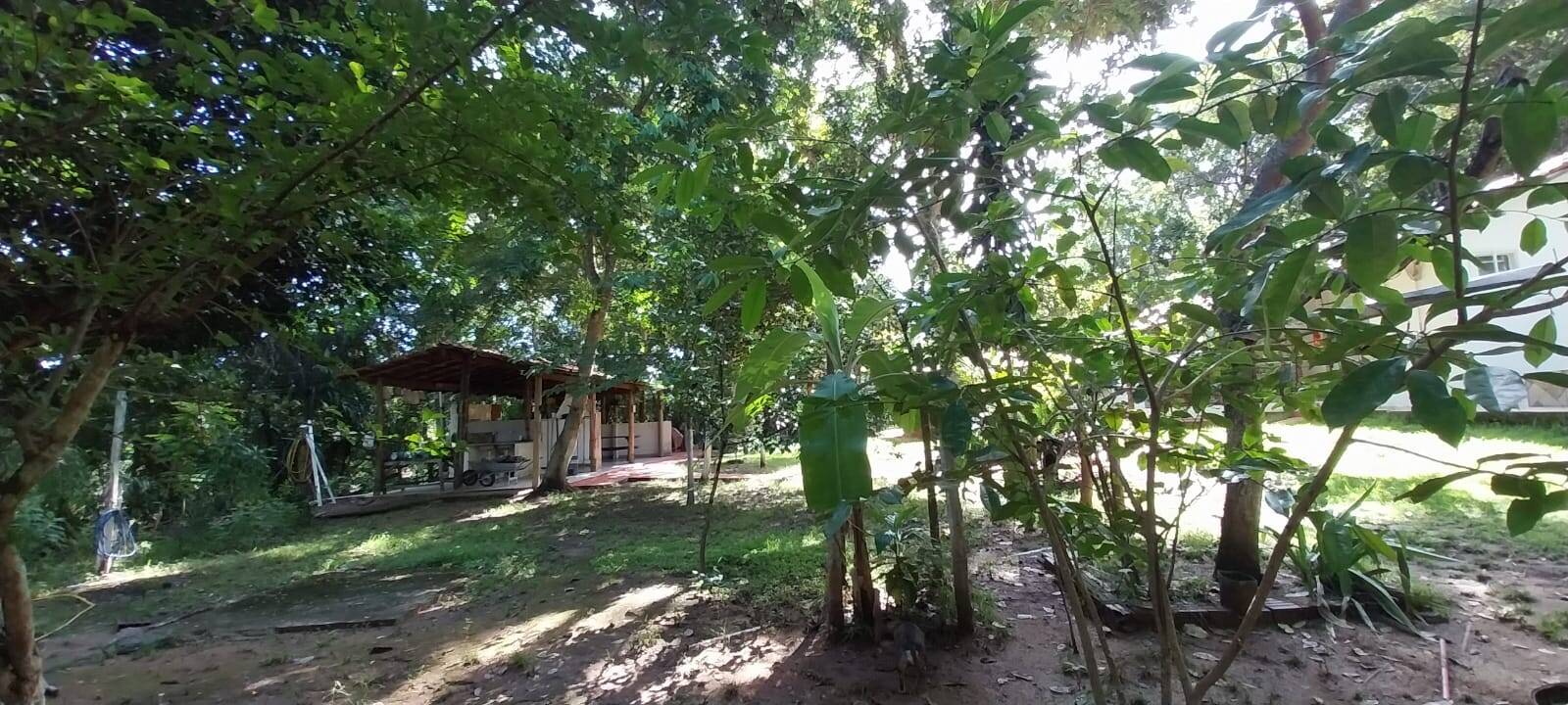 Chãozão - O Maior Portal de Anúncios de Imóveis Rurais do Brasil.