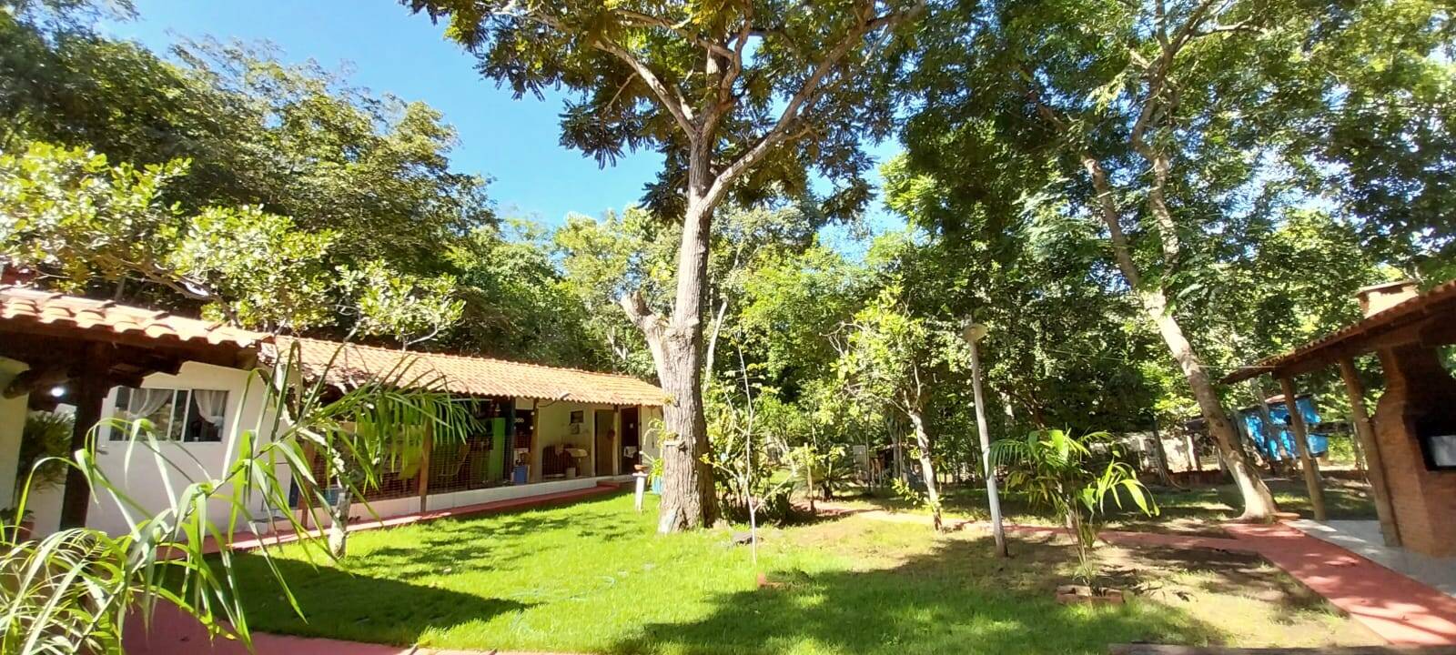 Chãozão - O Maior Portal de Anúncios de Imóveis Rurais do Brasil.