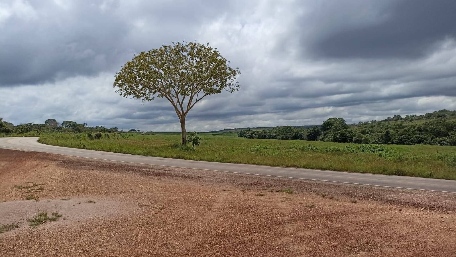 Fazenda em Campo Verde/Mato Grosso — Ref VF9764 — Imagem 2