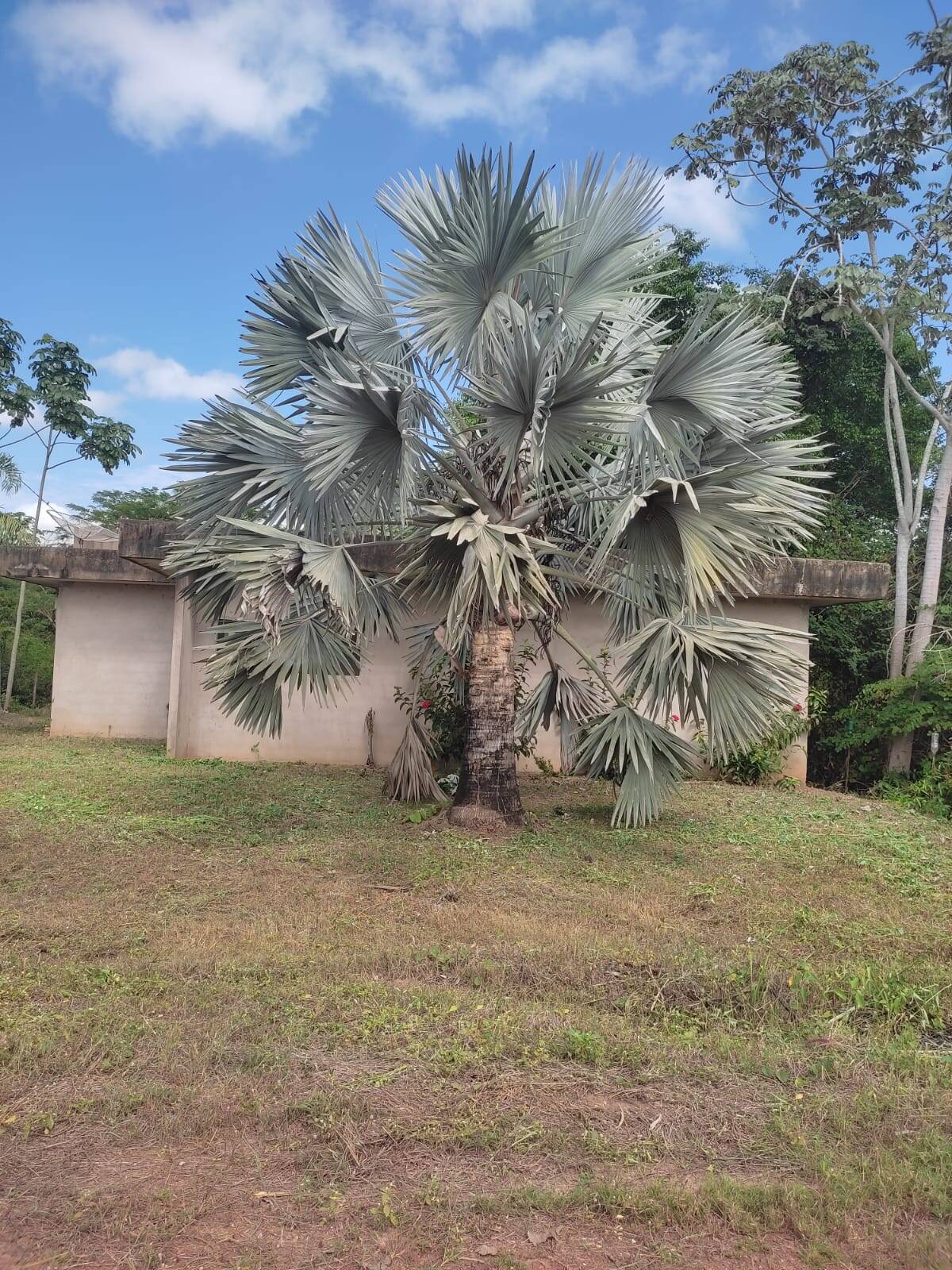 Chacará em Acorizal a Beira Rio Cuiabá