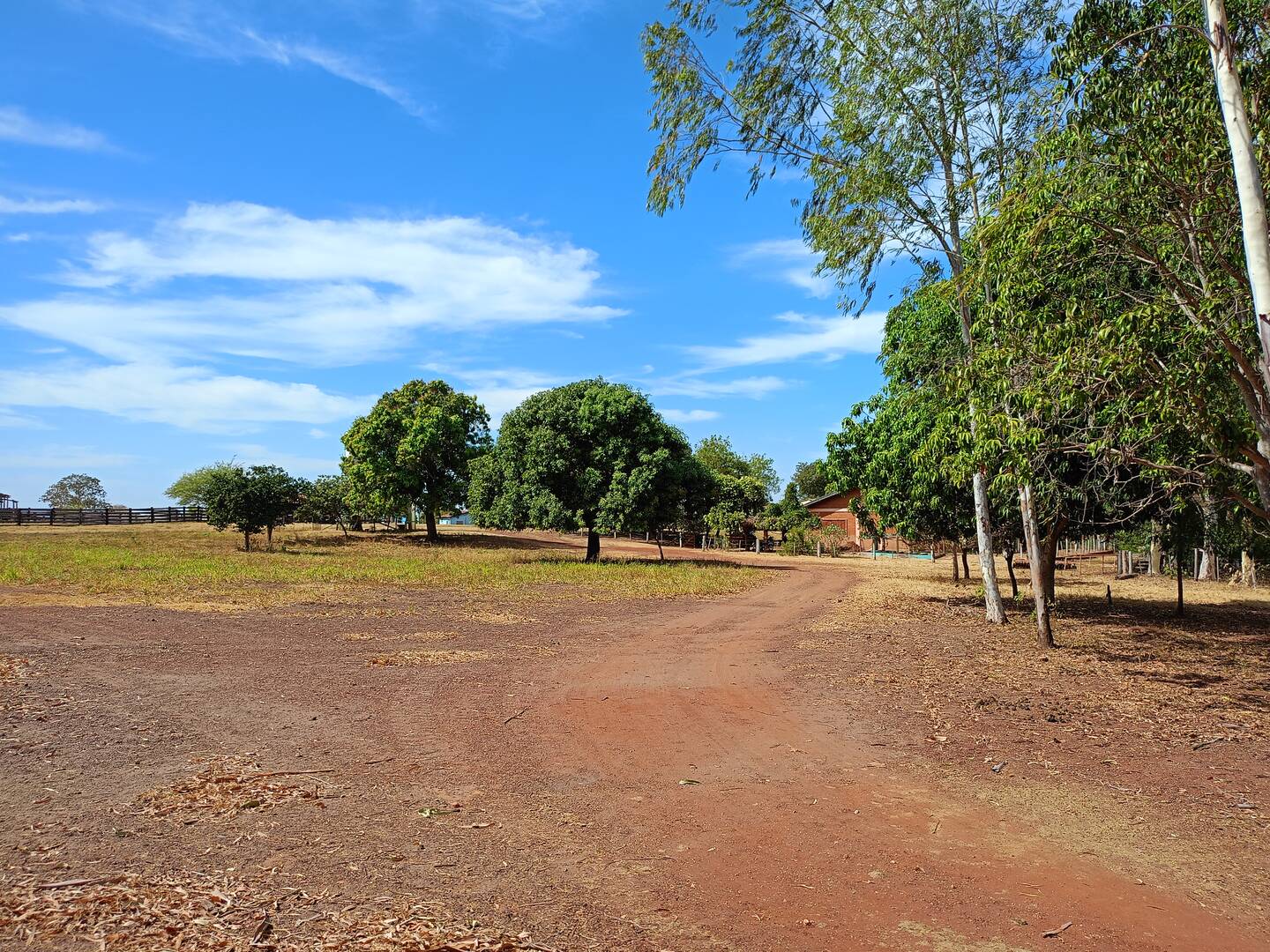 Fazenda 1.100 hectares Dupla Aptidão próximo a Cuiabá