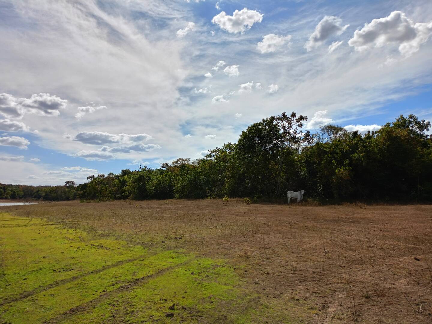 fazendas baratas à venda Mato Grosso 60ha de lâmina d'água 50 km de Cuiabá