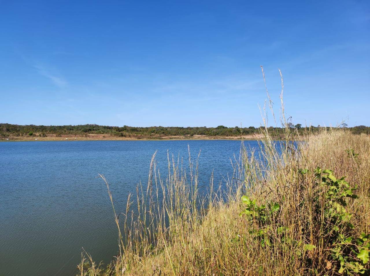 Fazenda em Nossa Senhora do Livramento/Mato Grosso — Ref Q8MO61 — Imagem 4