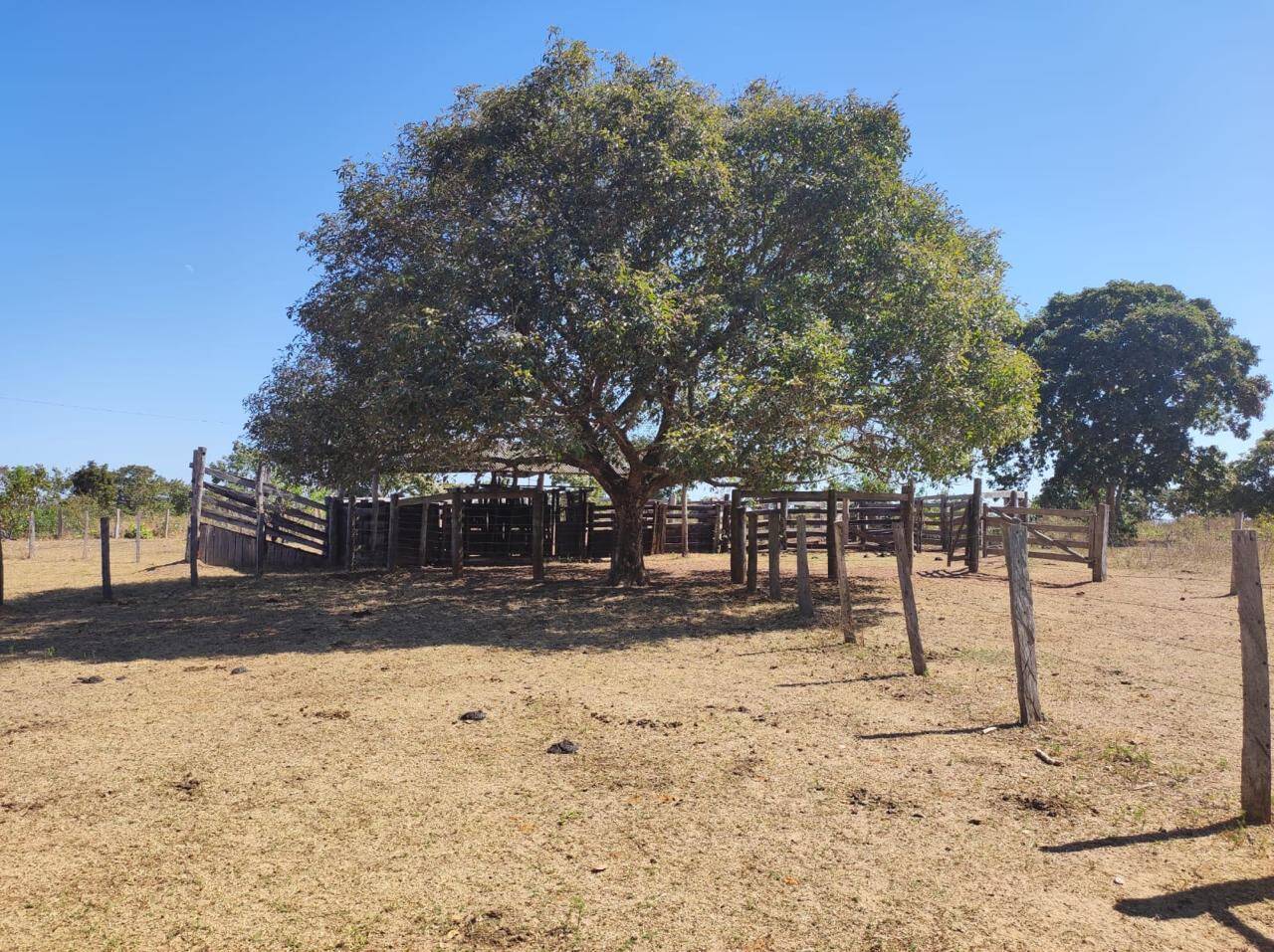 Fazenda em Nossa Senhora do Livramento/Mato Grosso — Ref Q8MO61 — Imagem 9
