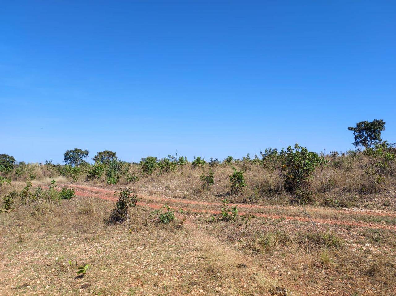 Fazenda em Nossa Senhora do Livramento/Mato Grosso — Ref Q8MO61 — Imagem 36