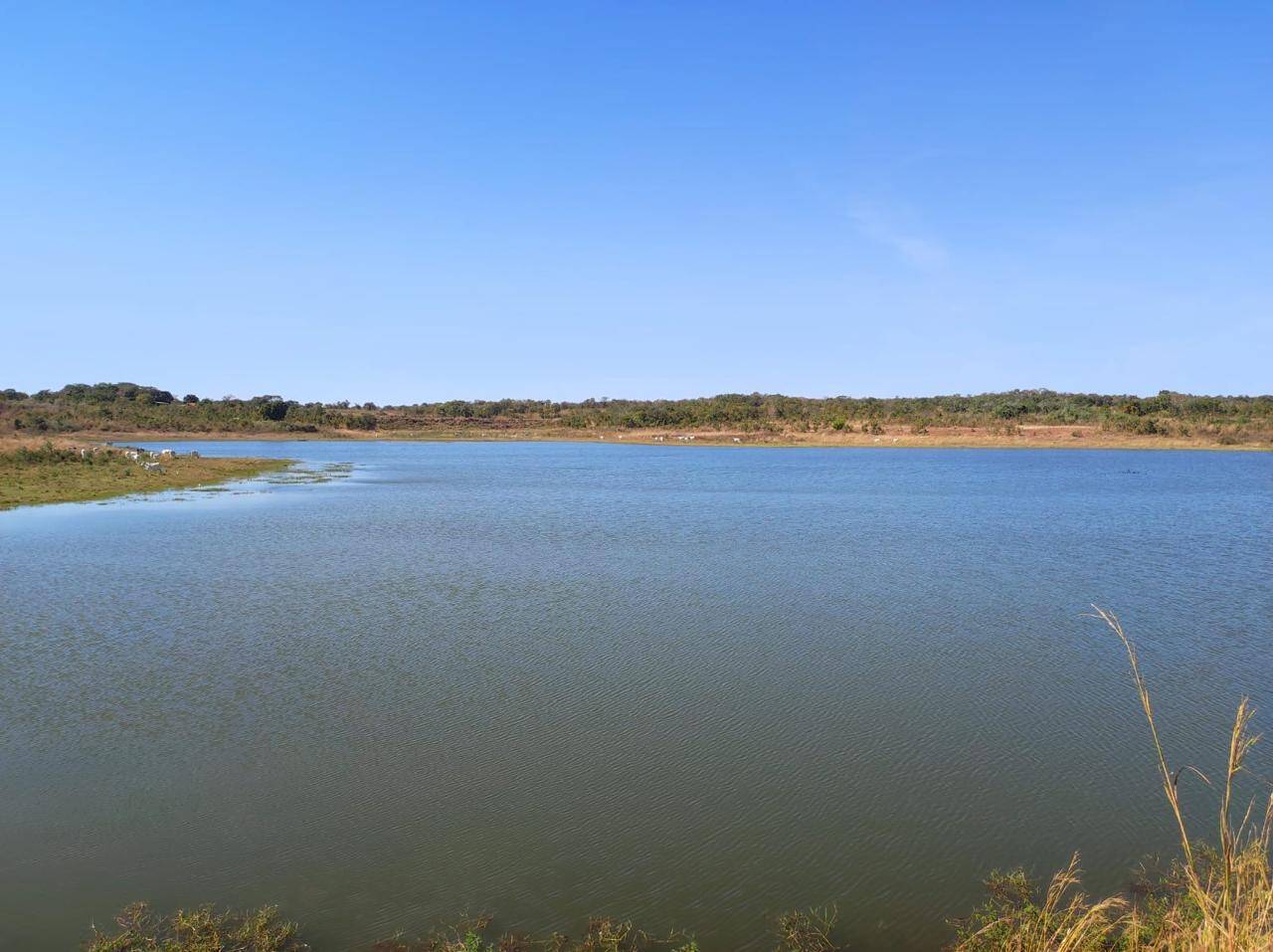 Fazenda em Nossa Senhora do Livramento/Mato Grosso — Ref Q8MO61 — Imagem 2