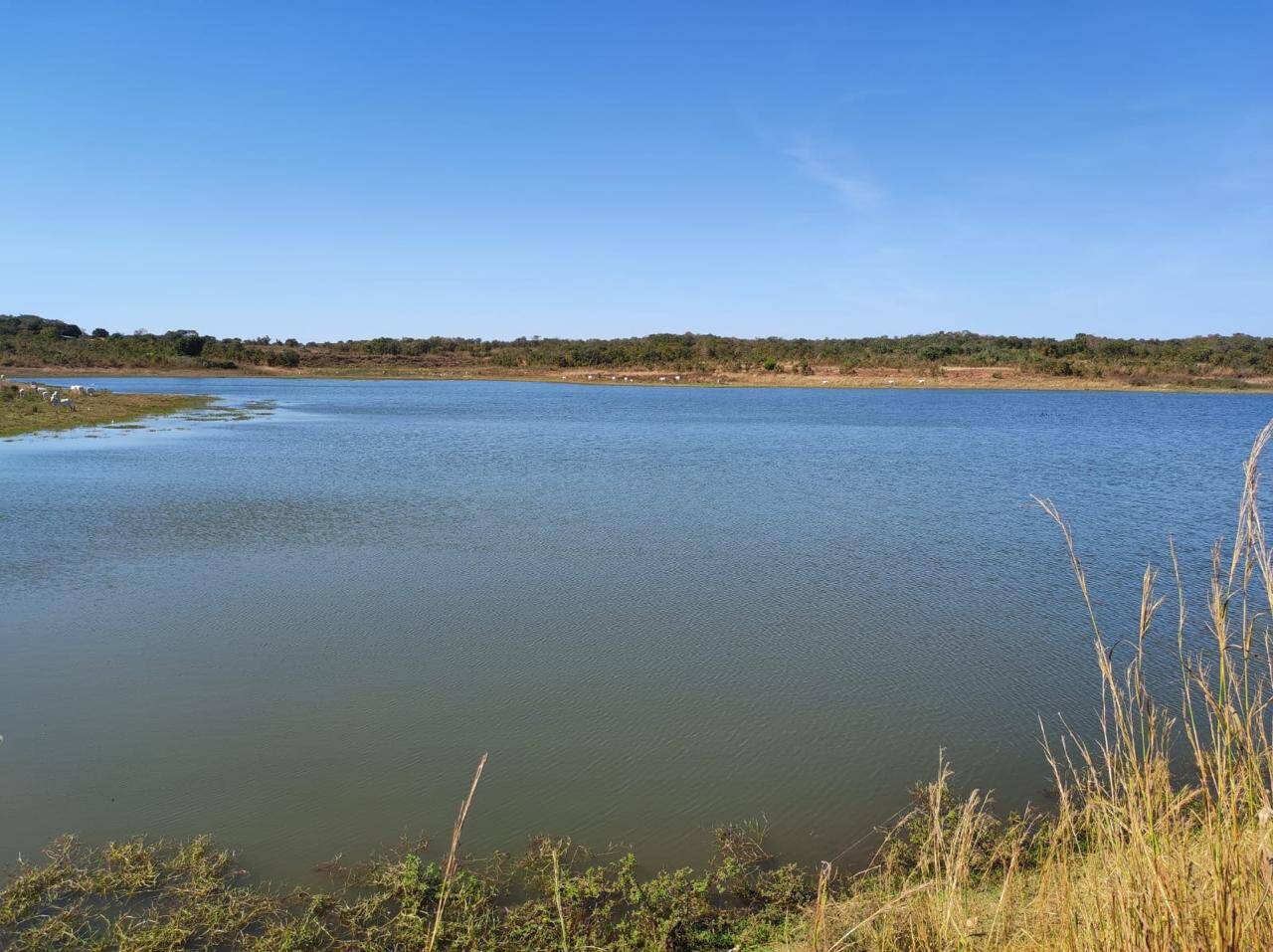 Fazenda em Nossa Senhora do Livramento/Mato Grosso — Ref Q8MO61 — Imagem 6