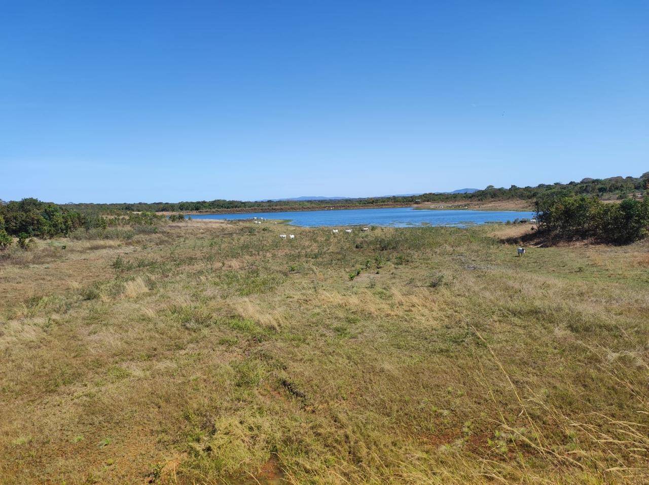 Fazenda em Nossa Senhora do Livramento/Mato Grosso — Ref Q8MO61 — Imagem 31