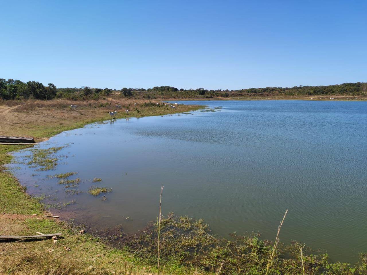 Fazenda em Nossa Senhora do Livramento/Mato Grosso — Ref Q8MO61 — Imagem 22