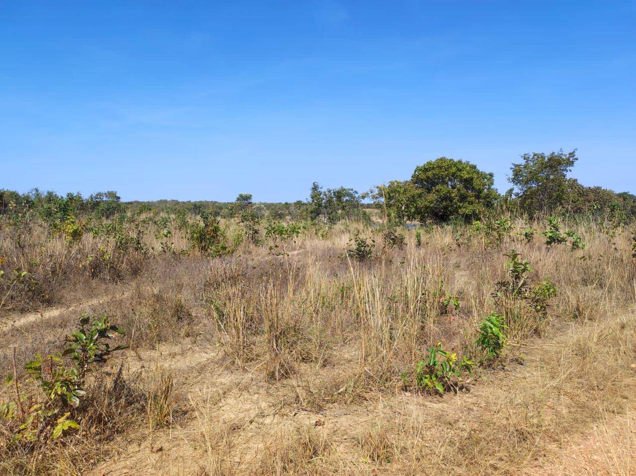 Fazenda em Nossa Senhora do Livramento/Mato Grosso — Ref Q8MO61 — Imagem 34