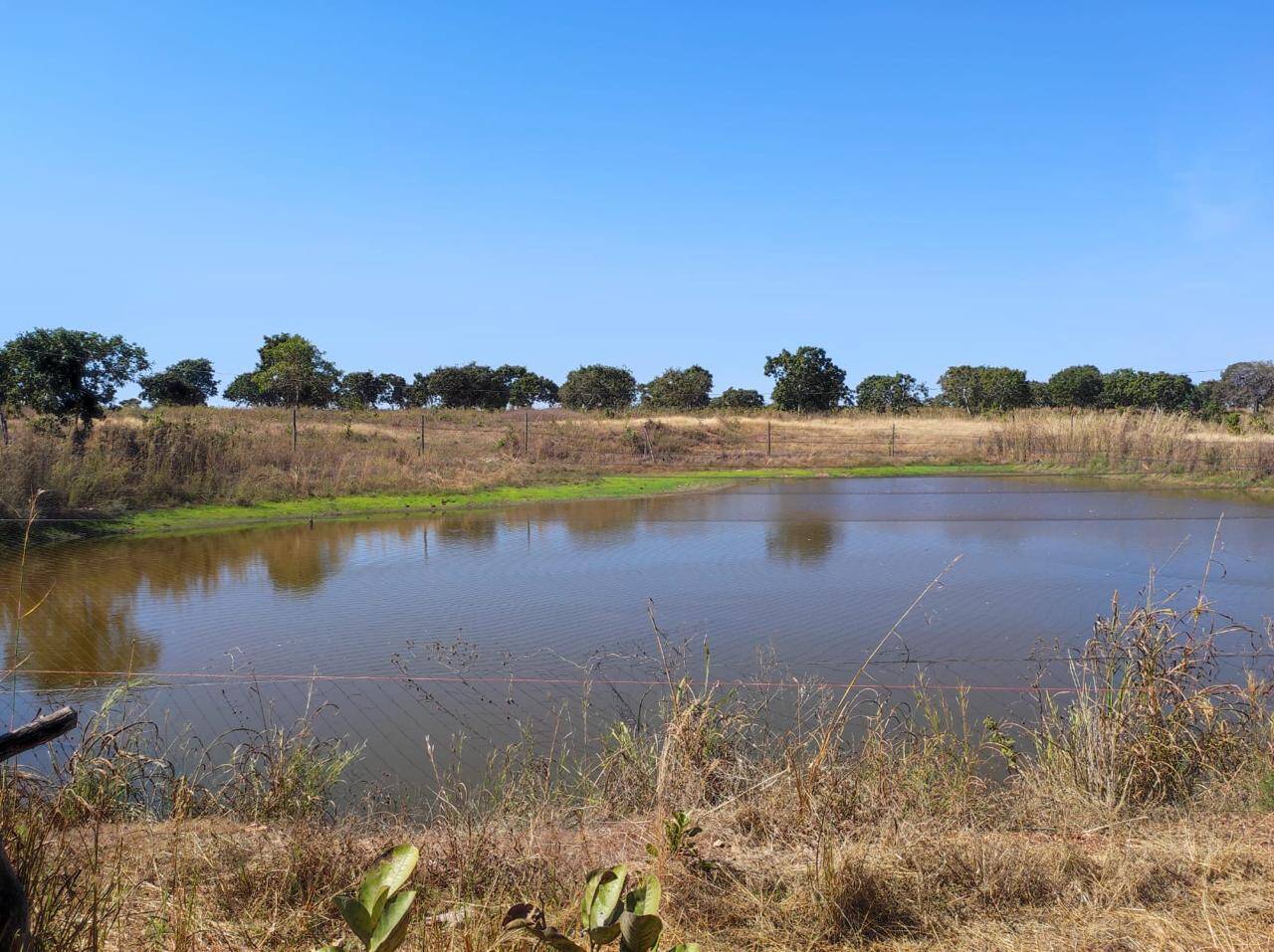 Fazenda em Nossa Senhora do Livramento/Mato Grosso — Ref Q8MO61 — Imagem 23