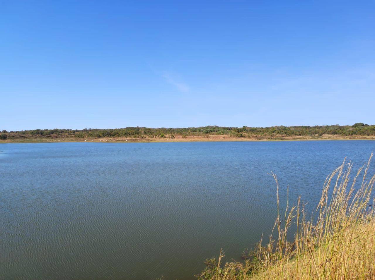Fazenda em Nossa Senhora do Livramento/Mato Grosso — Ref Q8MO61 — Imagem 5