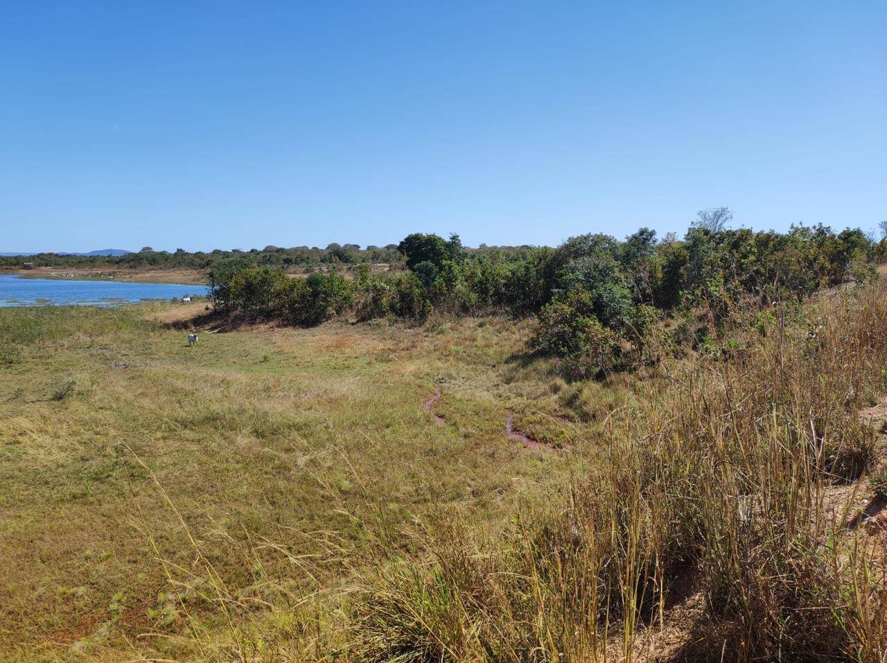 Fazenda em Nossa Senhora do Livramento/Mato Grosso — Ref Q8MO61 — Imagem 32
