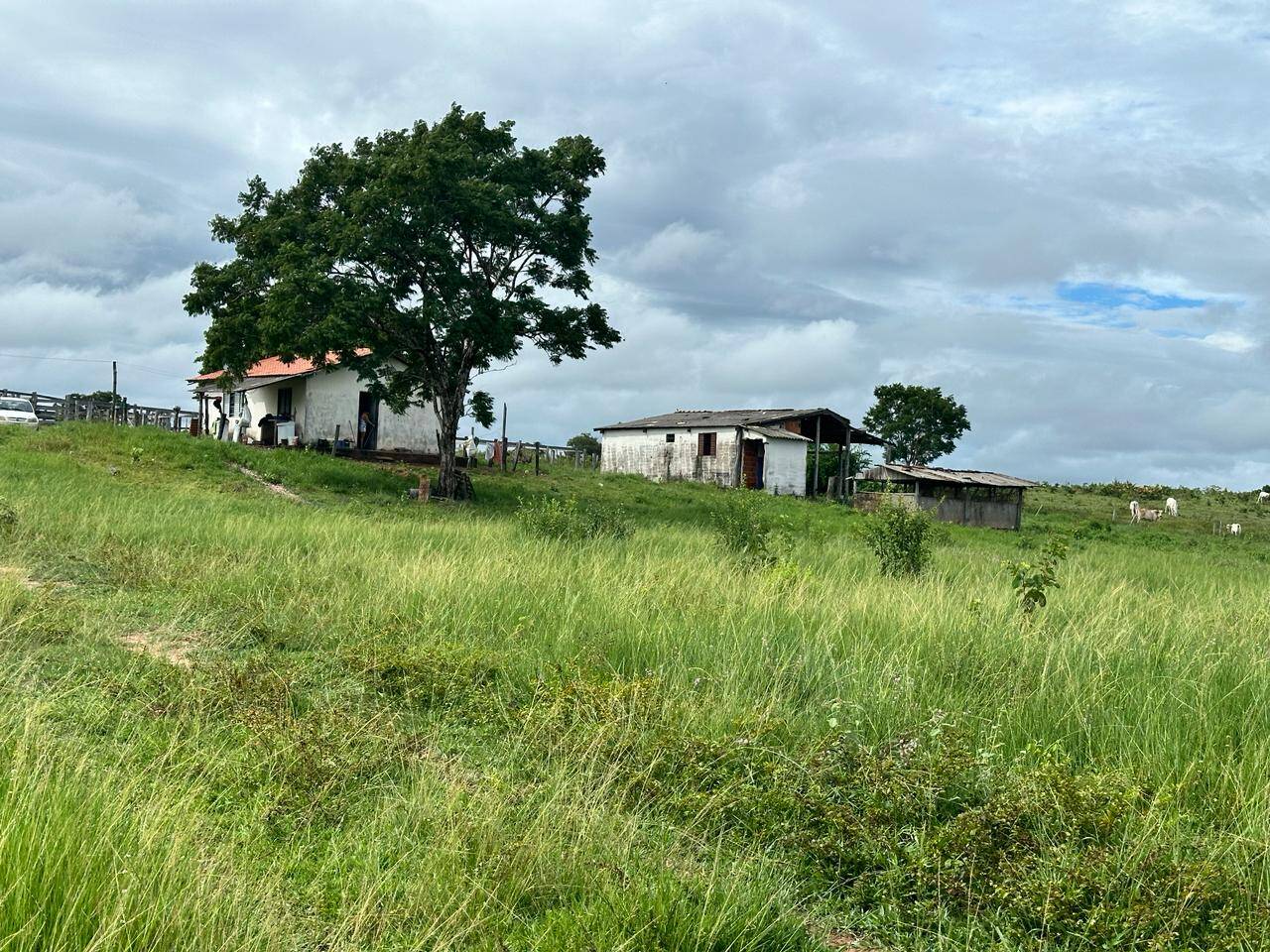 Chãozão - O Maior Portal de Anúncios de Imóveis Rurais do Brasil.