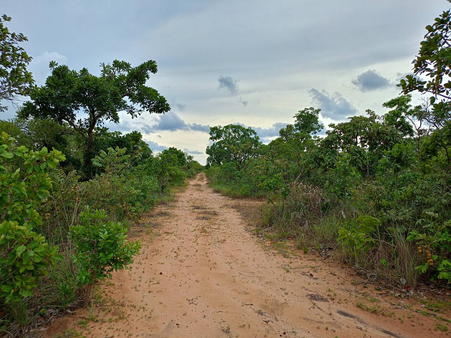 Área 25 hectares em chapada dos Guimarães