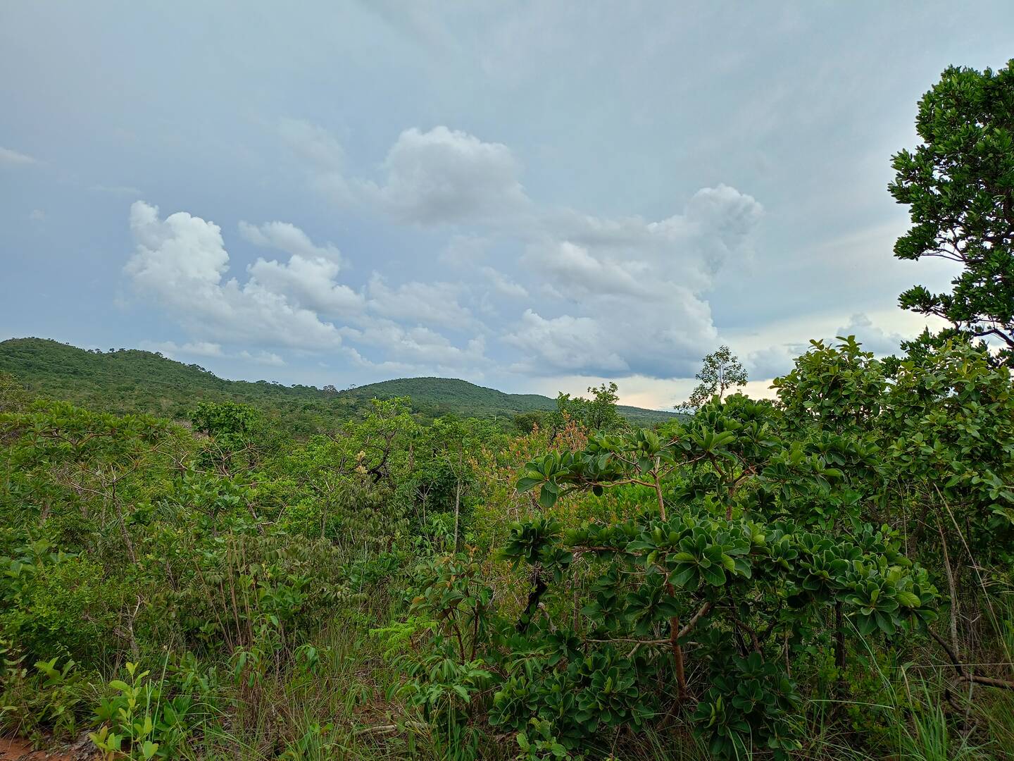 Área 25 hectares em chapada dos Guimarães
