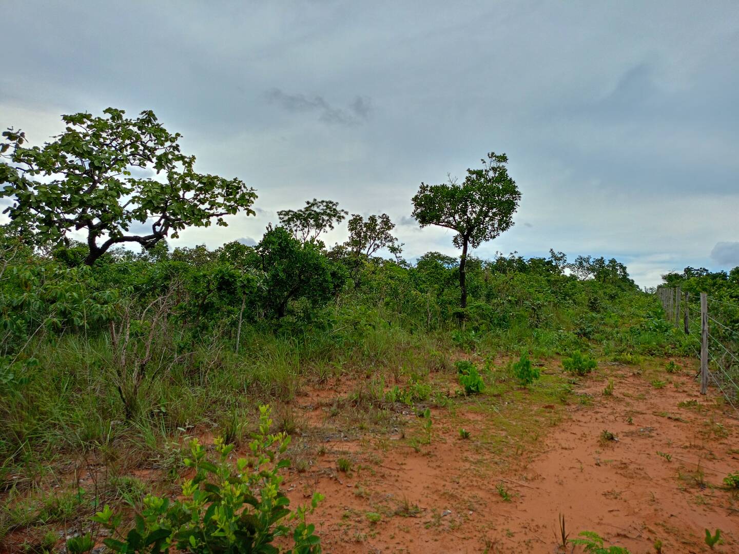 Área 25 hectares em chapada dos Guimarães