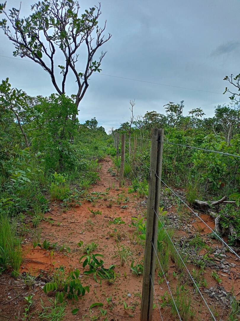 Área 25 hectares em chapada dos Guimarães