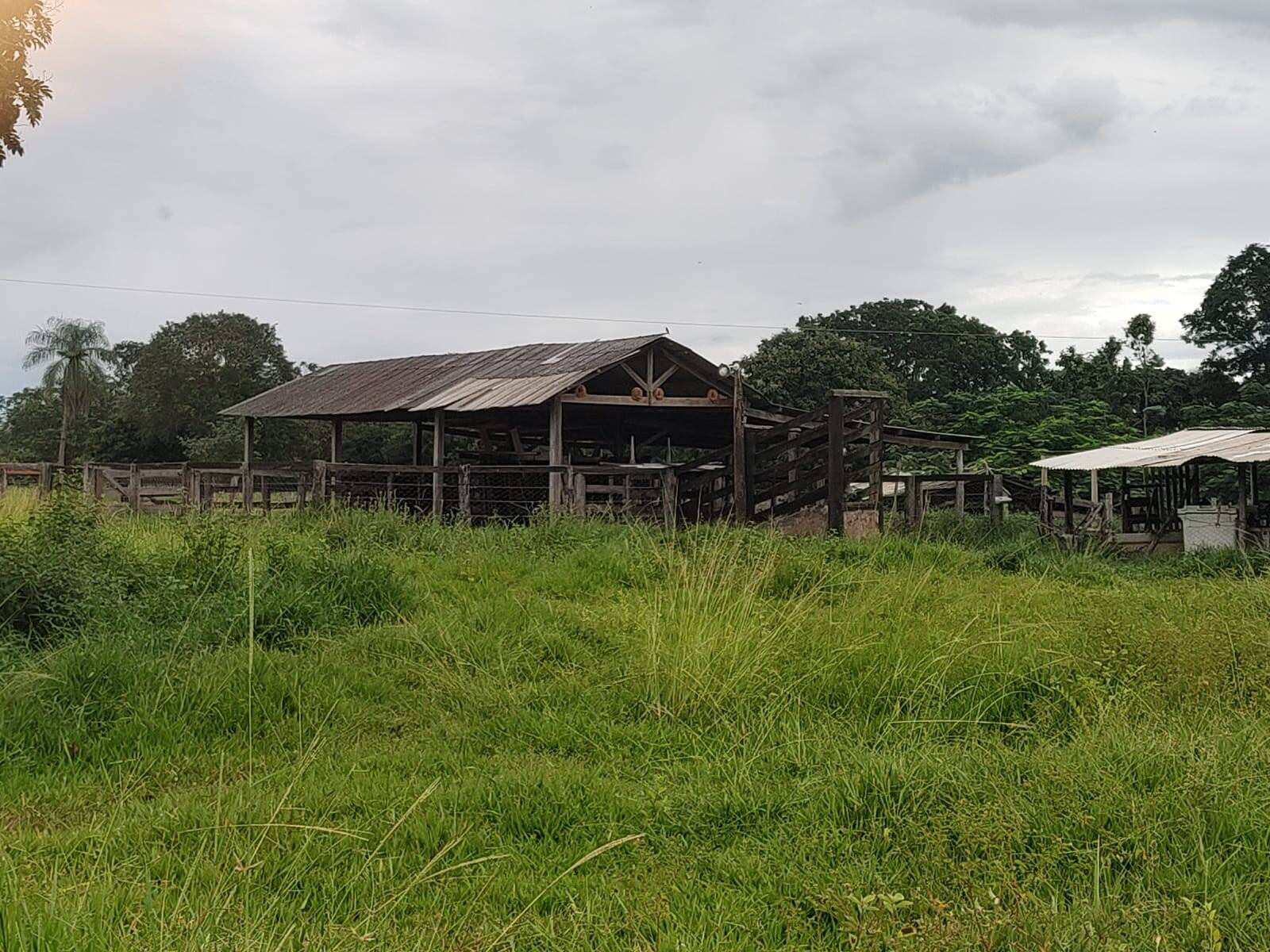 Imovel a Venda Propriedade Rural  NS do Livramento -54 km de Cuiaba