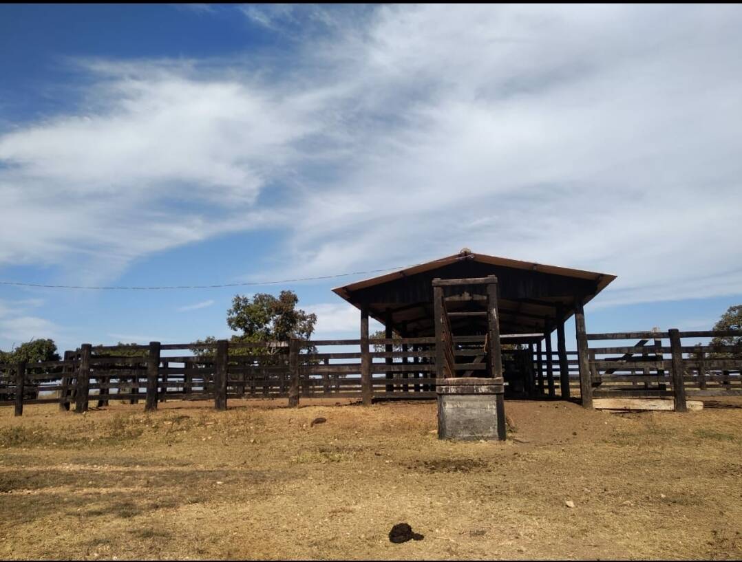 Fazenda para Pecuaria em Nobres MT