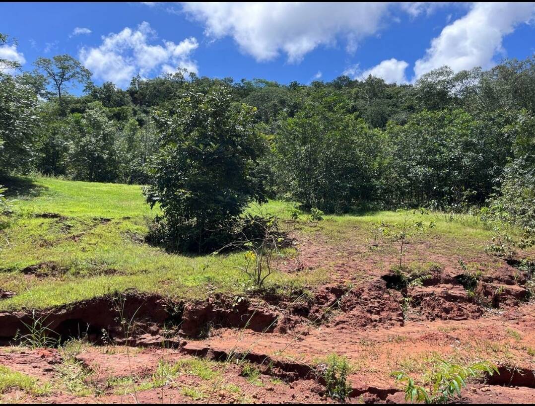 Fazenda para Pecuaria Campo Verde Mato Grosso de 714 Hectares