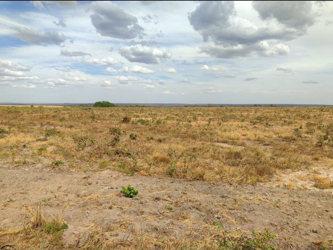 OPORTUNIDADE Fazenda em Campo Verde Mato Grosso de 1300 Hectares