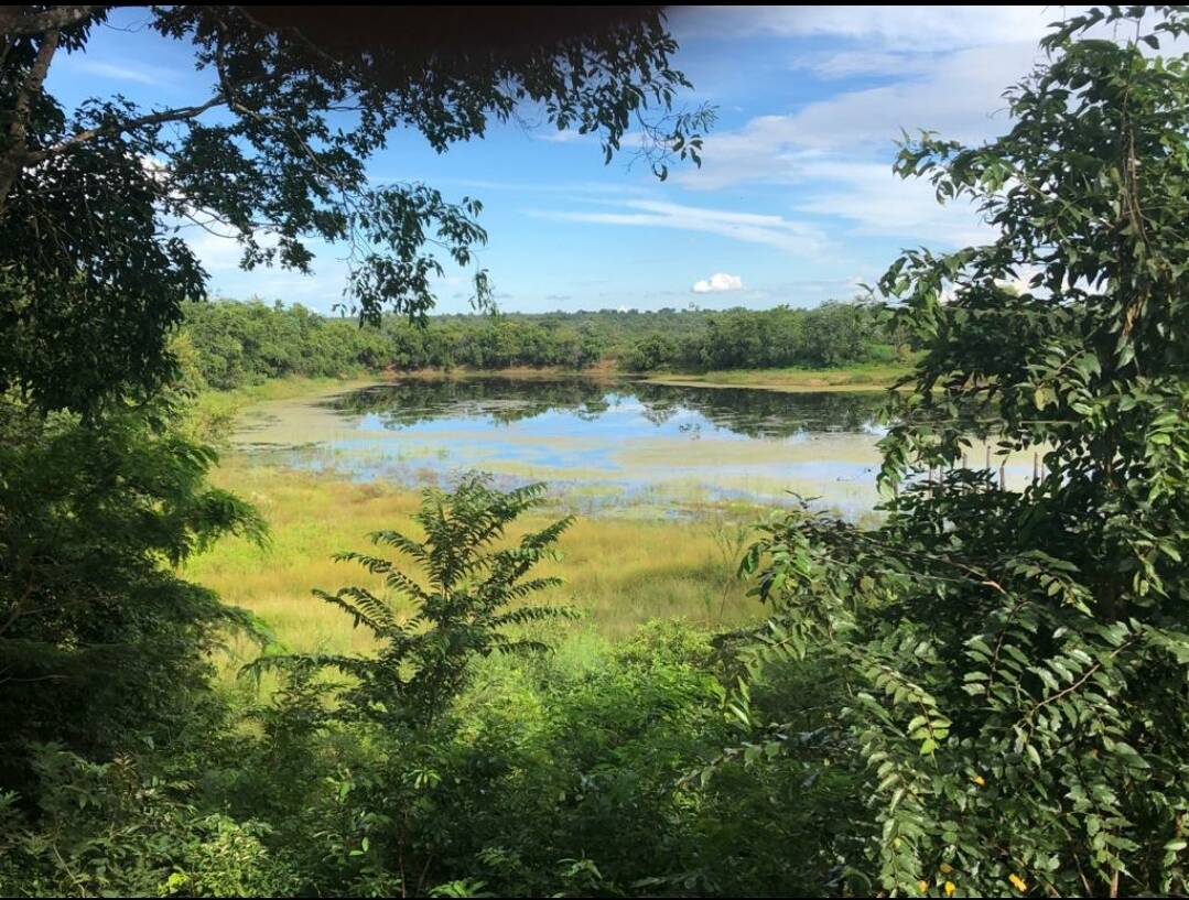 Fazenda na Região de Cuiabá, Mato Grosso de 2898 Hectares
