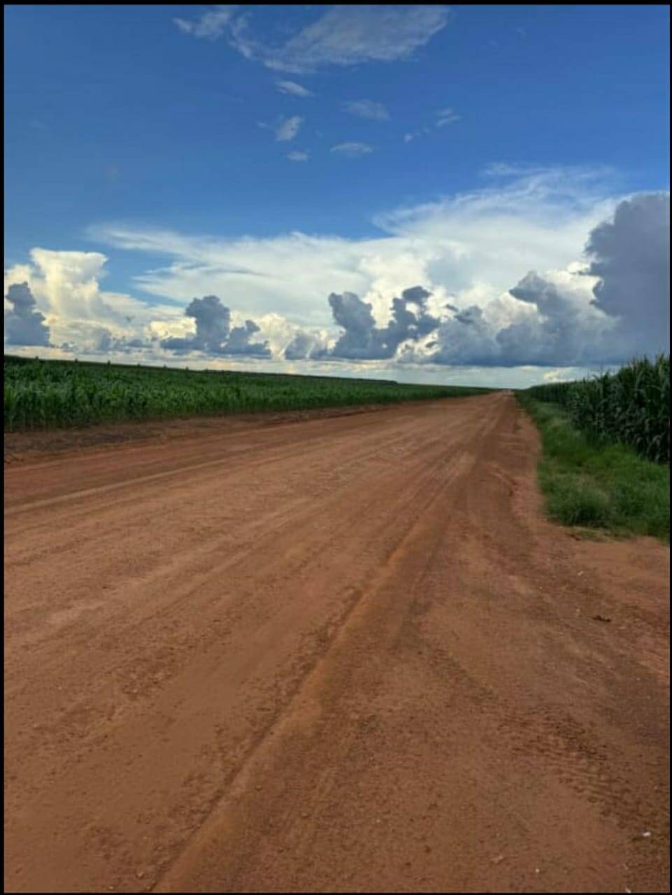 Area Agricola de 200 Hectares na região de Sorriso Disponivel para Venda