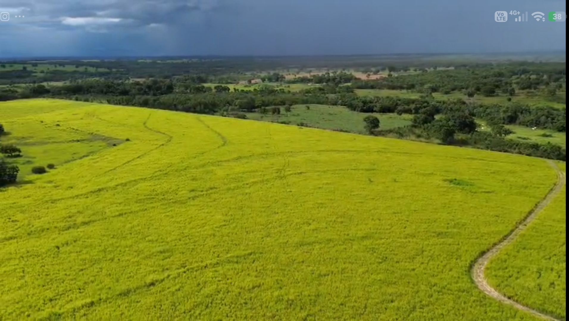 Fazenda à Venda em Poconé 630 ha | Dupla Aptidão | Pasto Formado | Água