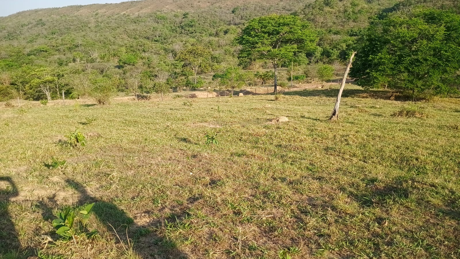 Fazenda barata em Mato grosso