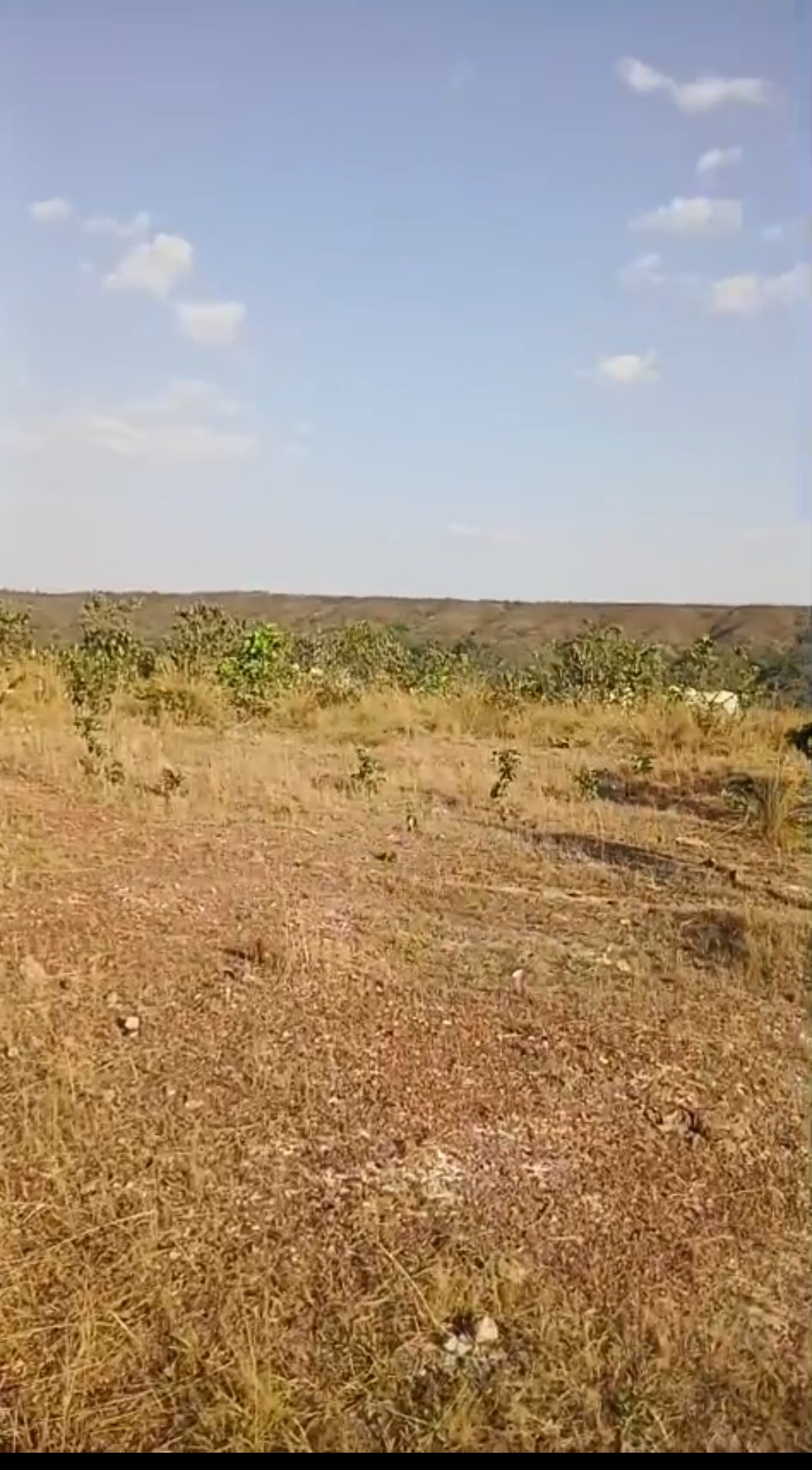 Fazenda barata em Mato grosso