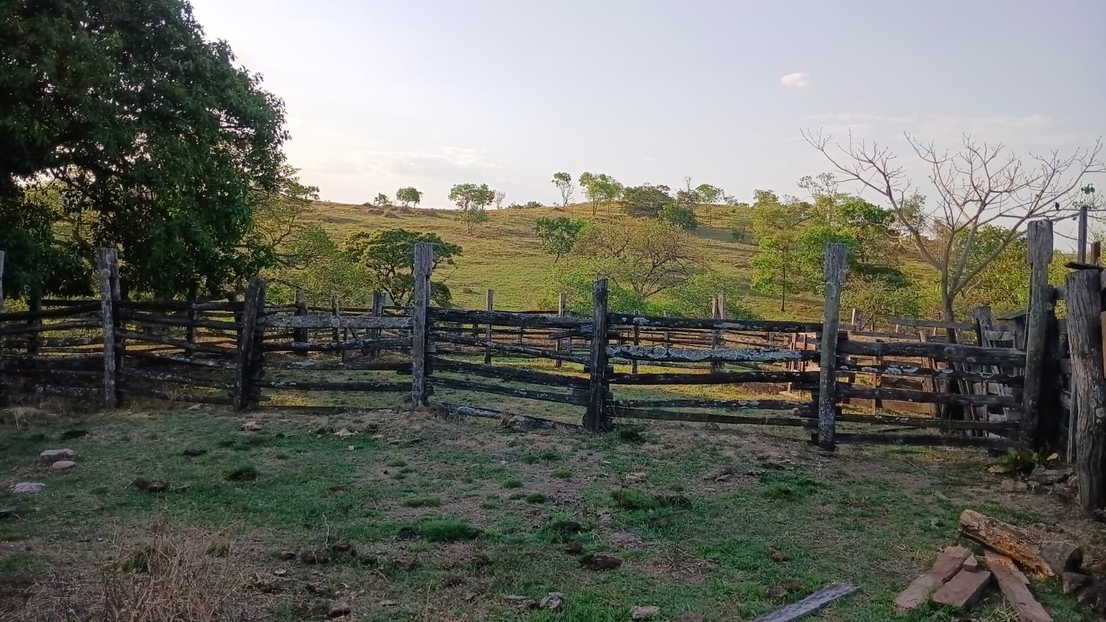 Fazenda barata em Mato grosso