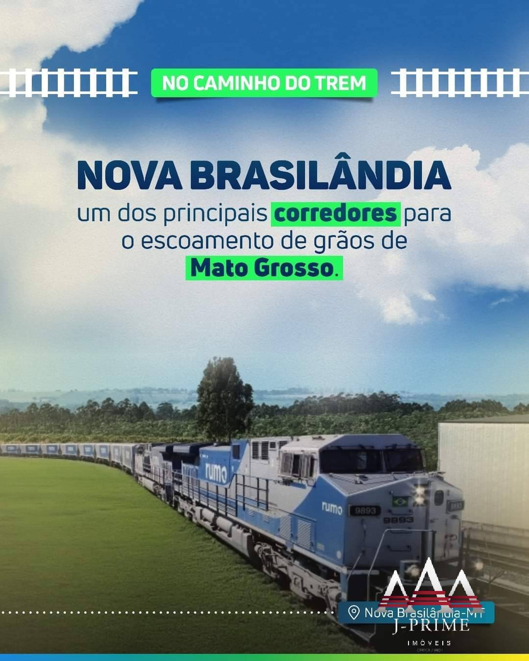 Fazenda  366 ha Dupla Aptidão  Cerrado Rico