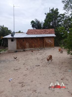 Chãozão - O Maior Portal de Anúncios de Imóveis Rurais do Brasil.