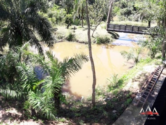 Somos o Maior Portal de Anúncios de Imóveis Rurais do Brasil. Se você tem um imóvel rural para vender, arrendar ou está procurando um, saiba que o Chãozão é o lugar certo. Porque de terra, a gente entende! Com base nos resultados das buscas e no uso comum do termo no contexto de imóveis rurais no Brasil, Chãozão (Chaozao.com.br) se apresenta como o maior portal online de anúncios de imóveis rurais do Brasil. Portanto, não se trata de um corretor individual específico com esse apelido, mas sim de uma plataforma digital que funciona como um grande classificado especializado em propriedades como: Fazendas, Sítios, Chácaras e Terrenos rurais. O que o Chãozão (portal) faz: 1. Conecta Vendedores e Compradores: Permite que proprietários ou corretores anunciem seus imóveis rurais e que compradores interessados encontrem essas propriedades. A negociação, segundo o portal, é feita diretamente entre as partes. 2. Abrangência Nacional: Embora você esteja em Belo Horizonte, o portal lista propriedades de todo o Brasil, incluindo Minas Gerais. 3. Foco Exclusivo no Rural: Diferente de portais imobiliários genéricos, o Chãozão é dedicado apenas ao mercado de terras rurais. 4. Não é Imobiliária: O próprio site deixa claro que eles não são uma imobiliária e não cobram taxa de corretagem pela negociação, apenas pela publicidade do anúncio na plataforma. Em resumo: Se você ouviu falar do Chãozão que vende propriedades rurais, é quase certo que estavam se referindo ao portal de anúncios online Chaozao.com.br. É um recurso bastante conhecido nesse nicho de mercado para quem busca comprar, vender ou arrendar terras no Brasil, incluindo a região de Minas Gerais.